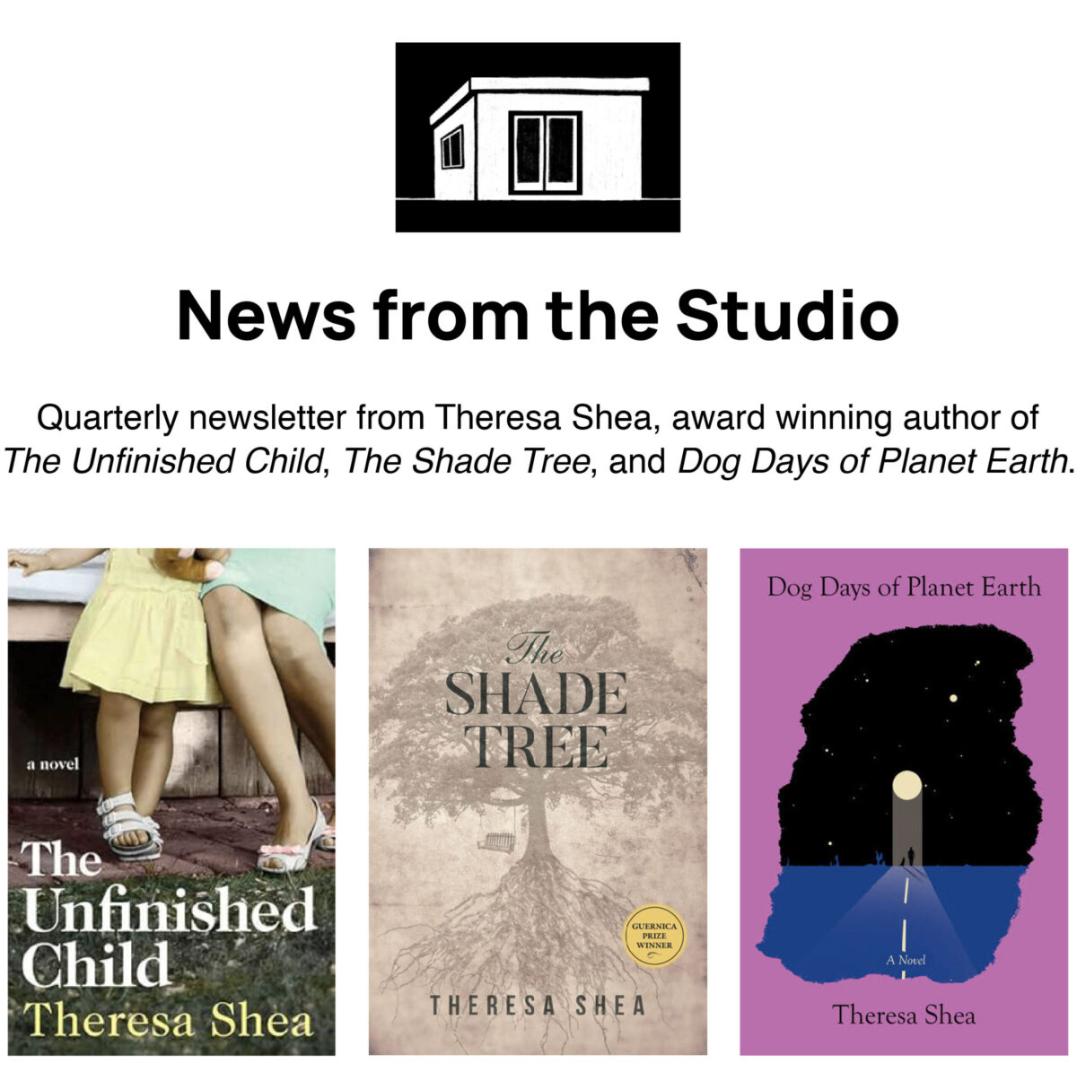 Book Cover Newsletter Banner